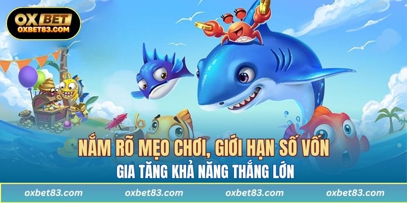 Nắm rõ mẹo chơi, giới hạn số vốn giúp người chơi gia tăng khả năng thắng lớn
