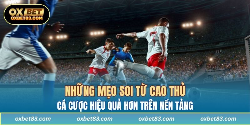 Những mẹo soi từ cao thủ giúp người chơi cá cược hiệu quả hơn trên nền tảng 